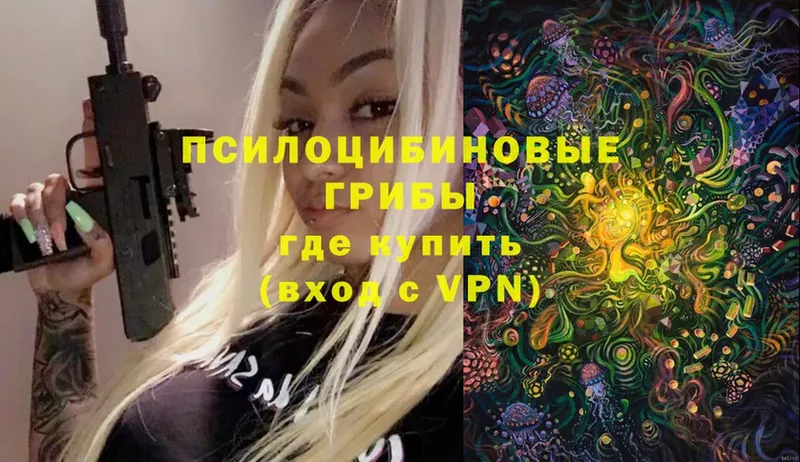 Псилоцибиновые грибы Psilocybe  где найти   Тюкалинск 